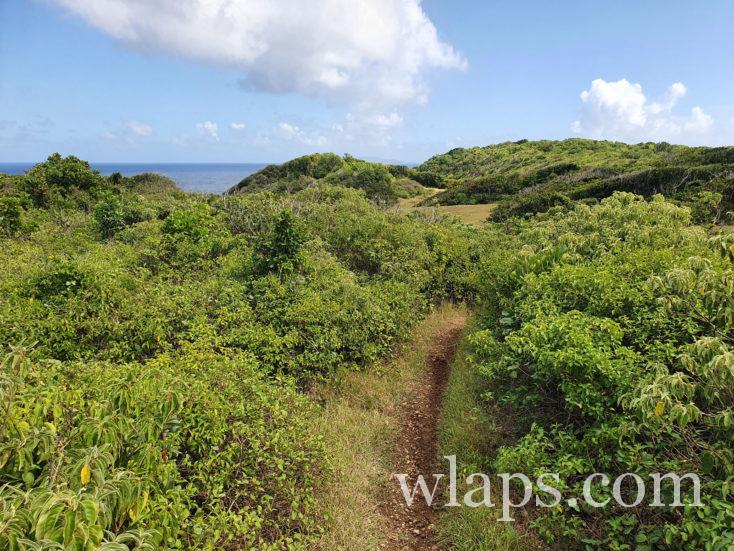 Sentier de randonnée près du Gros Morne