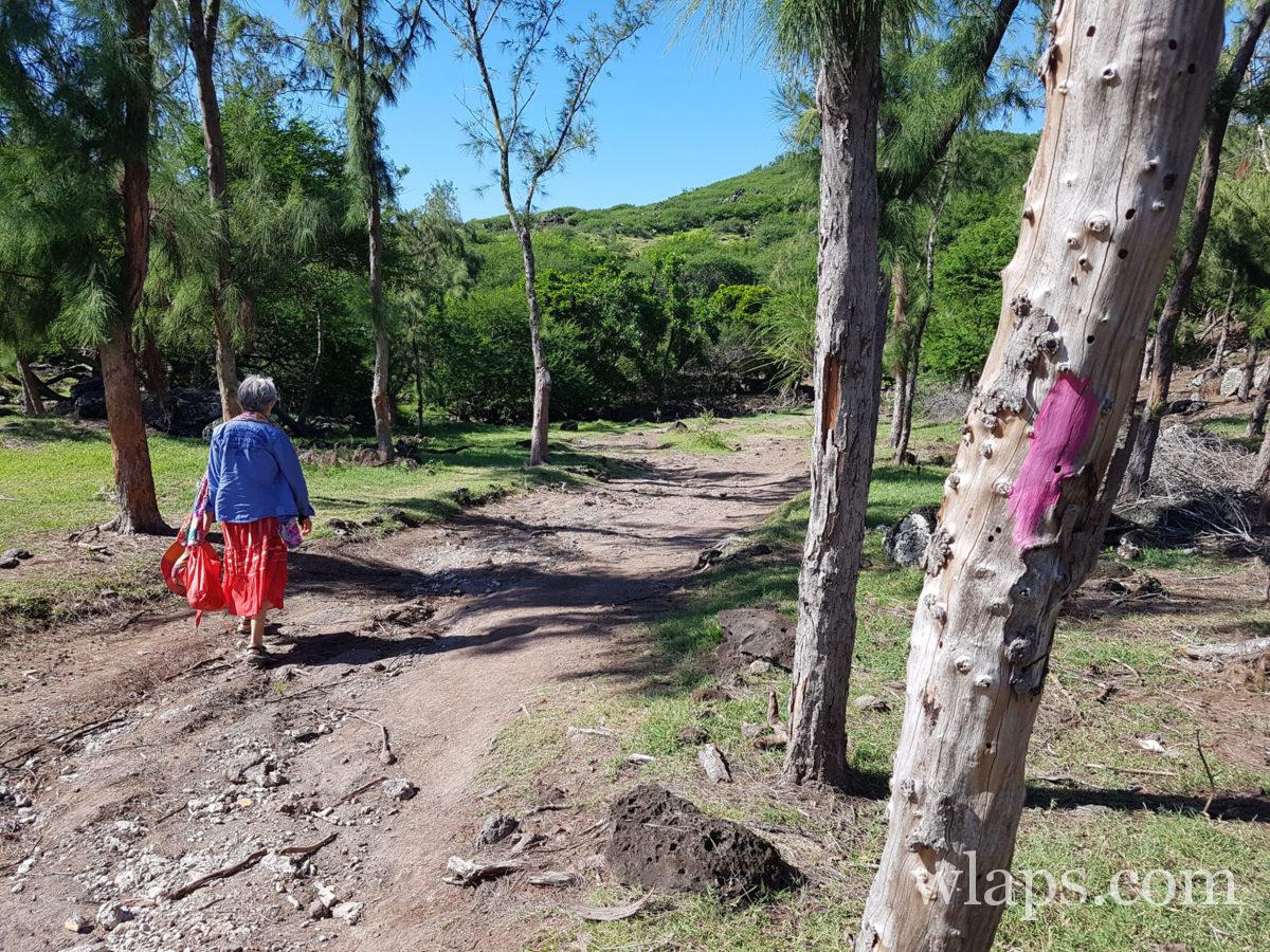 Sentier de randonnée sur l'île Rodrigues, balisé en rose