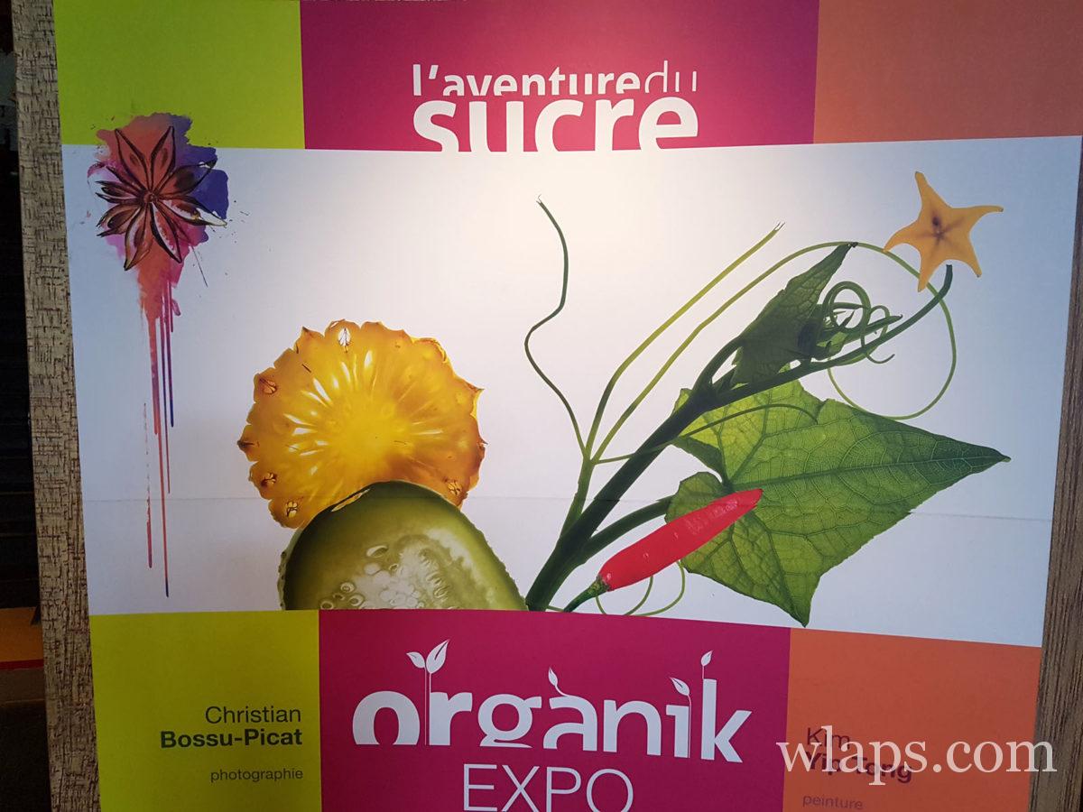 L'Aventure du Sucre