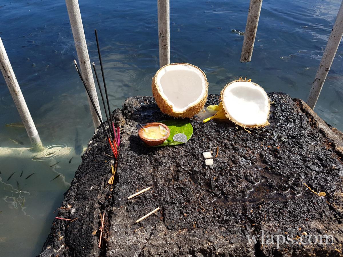 Offrandes à Grand Bassin : noix de coco, argent, encens et banane