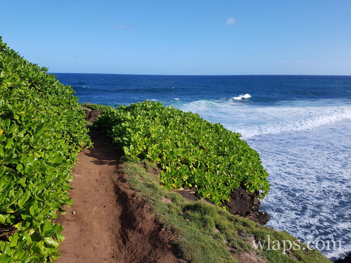 Sentier le long de la mer
