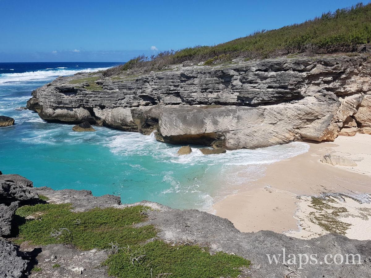 Merveille de l'île Rodrigues