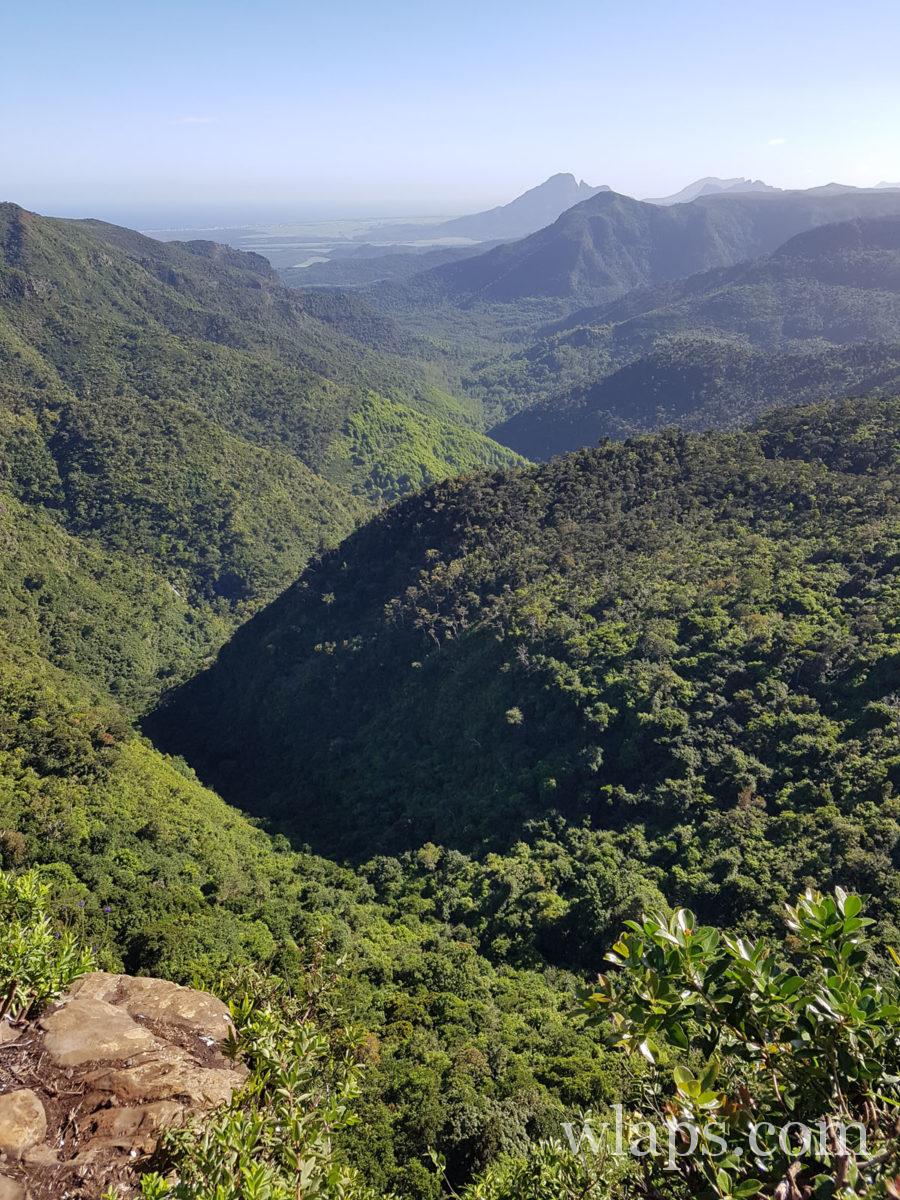 dans le Parc National des Gorges de Rivière Noire à l'île Maurice