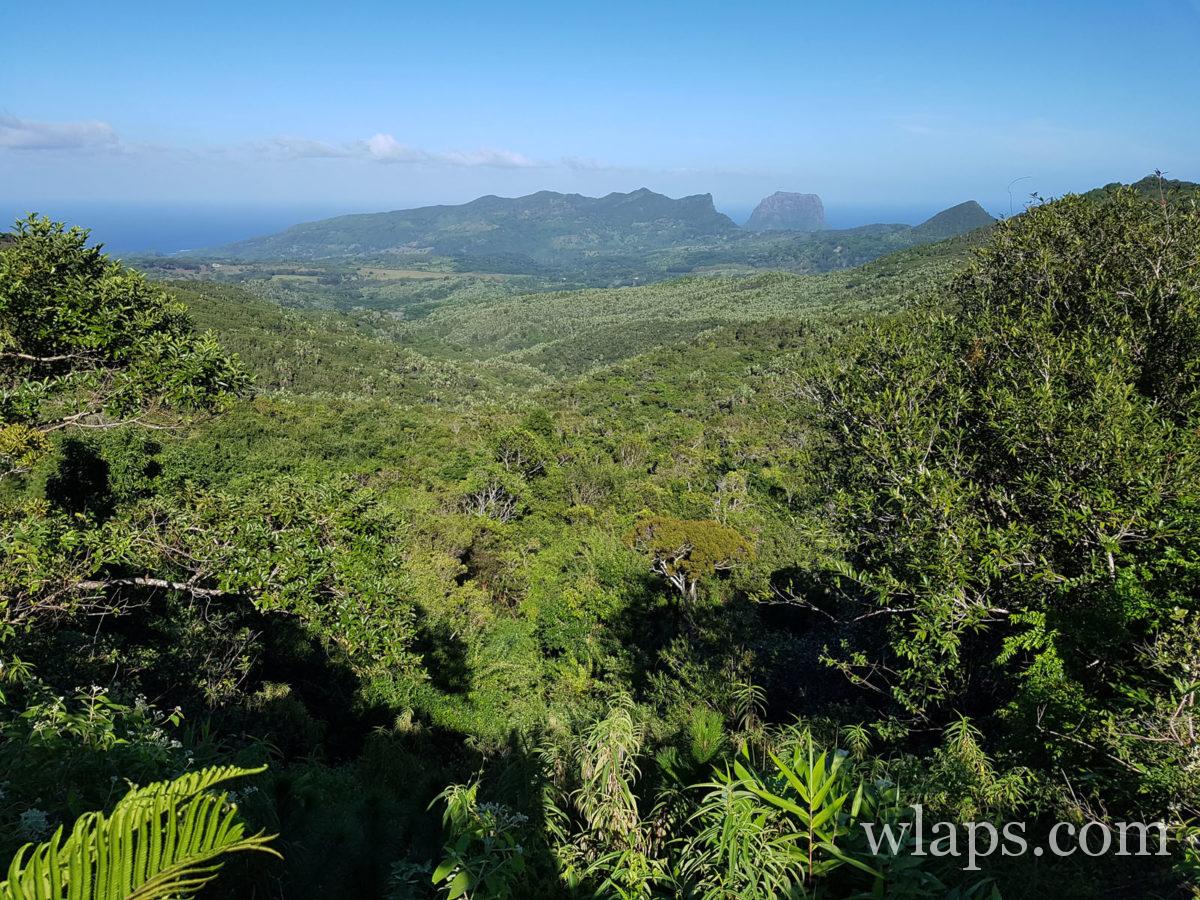 Rivière Noire à l'île Maurice