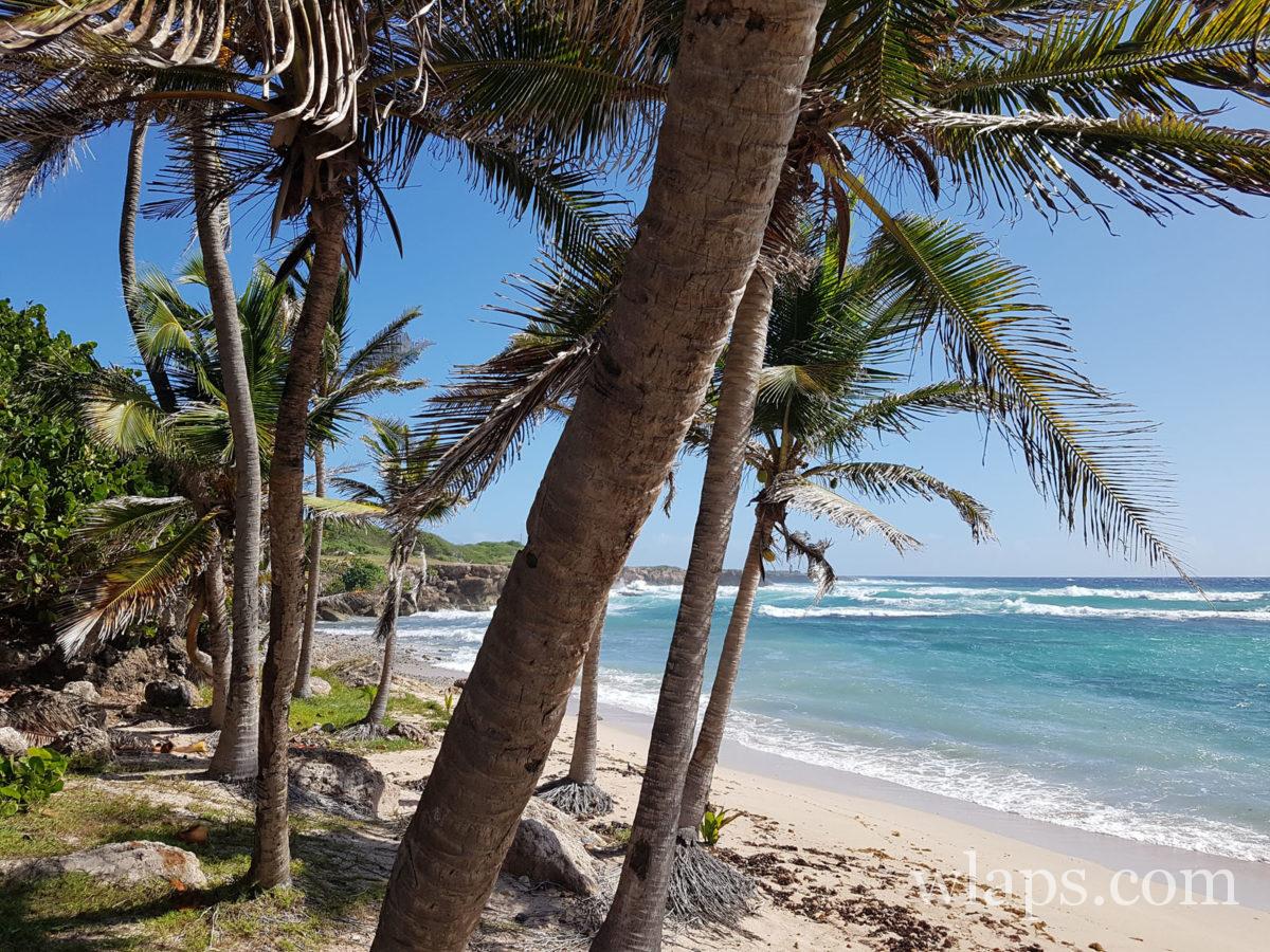 magnifique plage de carte postale de la Désirade