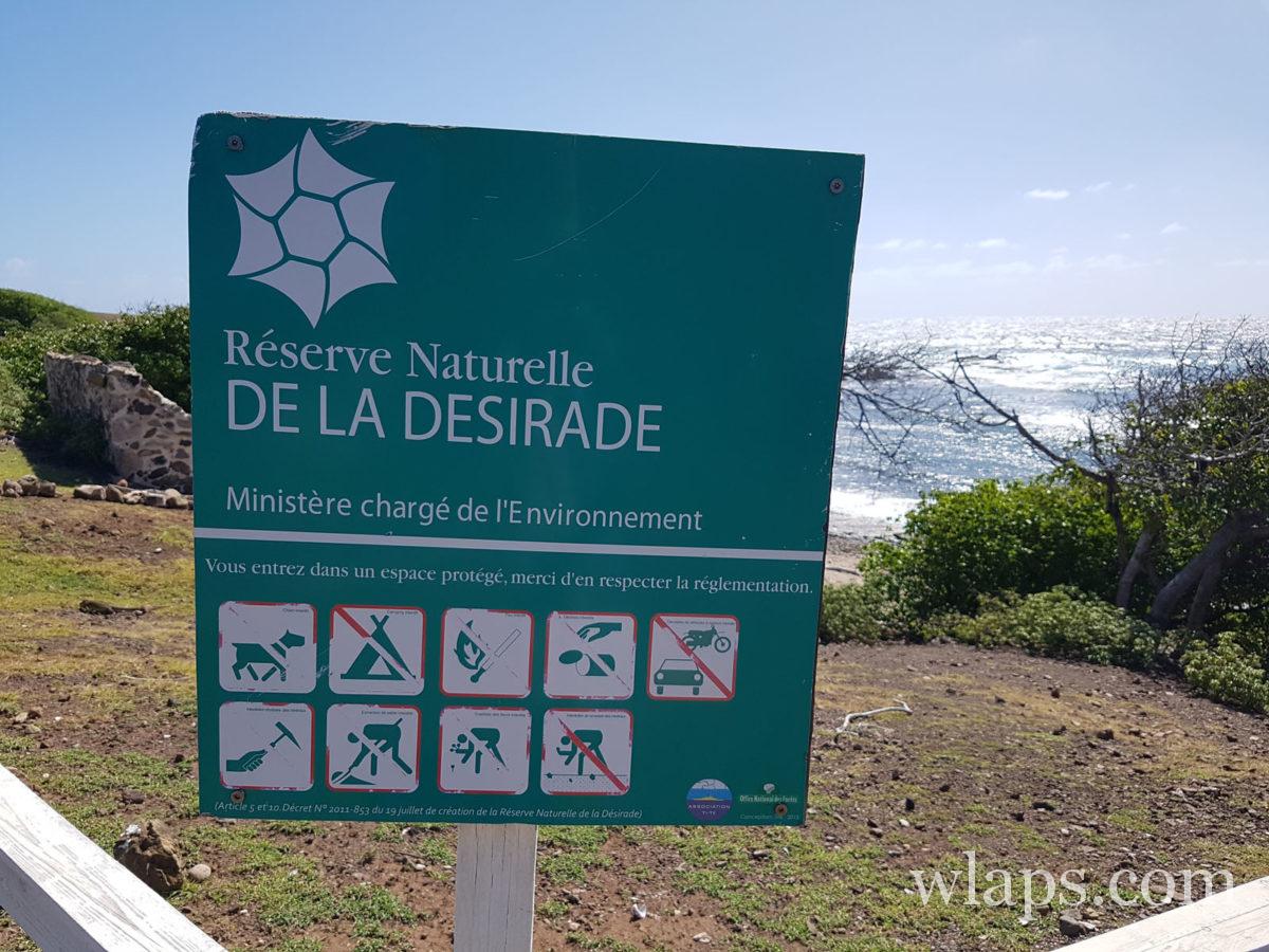 dans la Réserve Naturelle de la Désirade