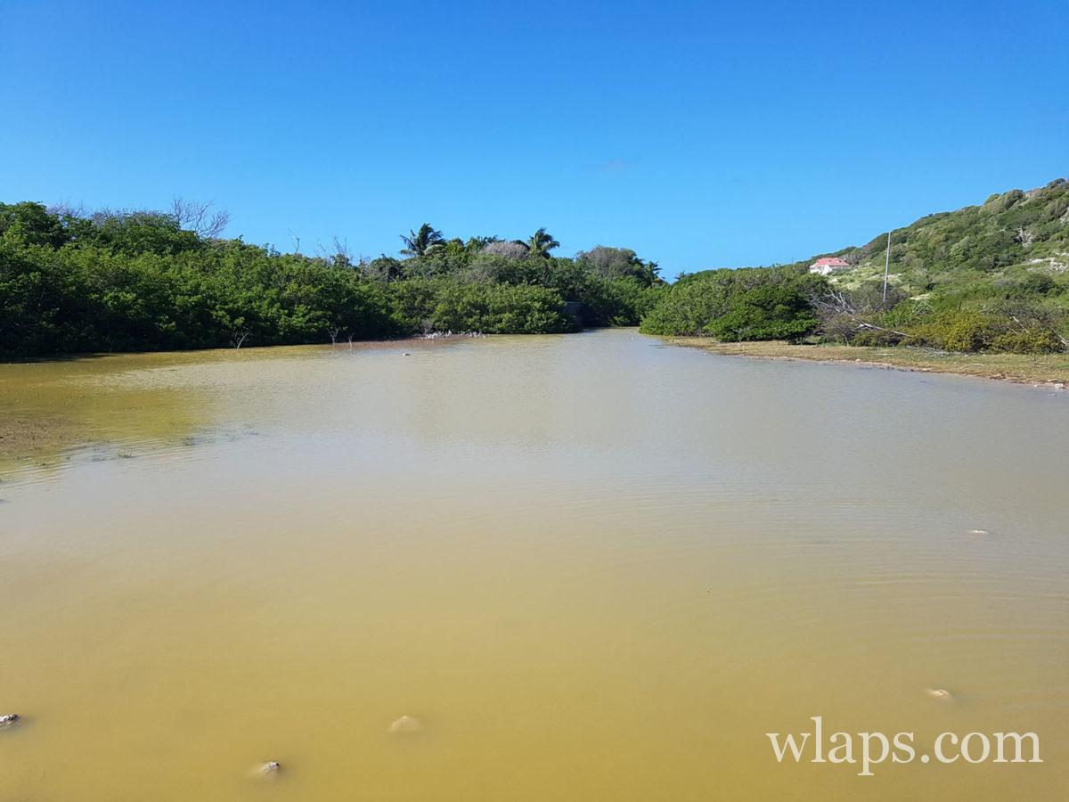 Saline du Galet à la Désirade