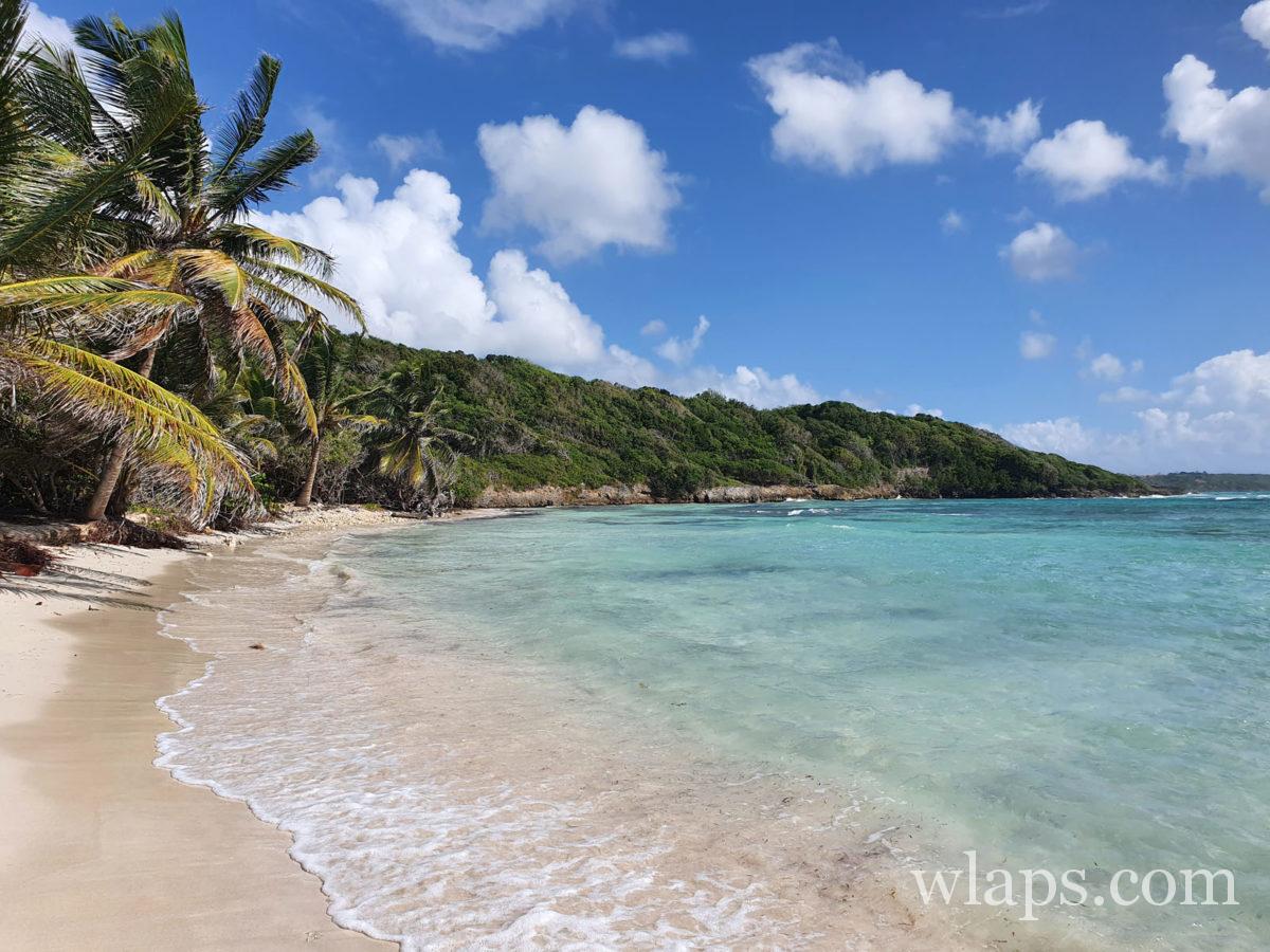 anse à coa en Guadeloupe