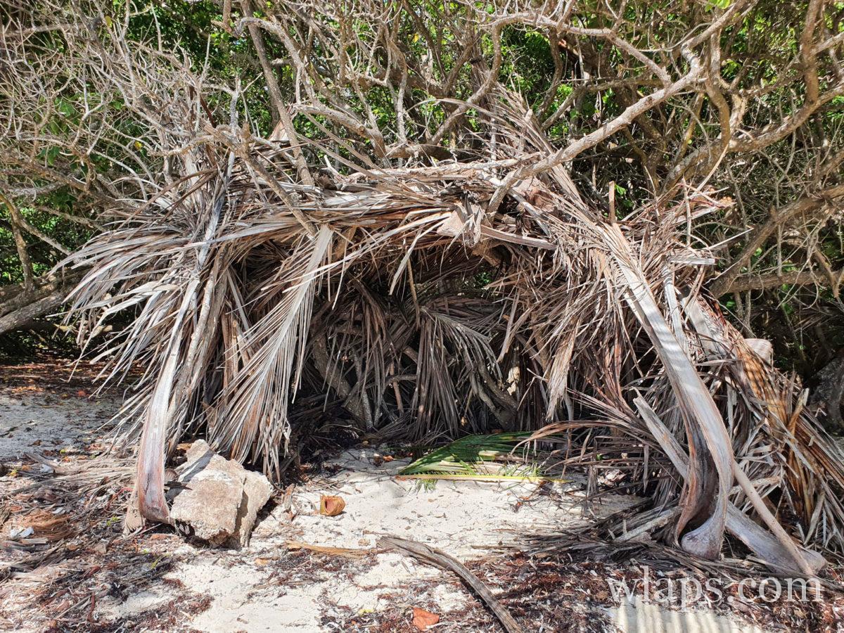 cabane en feuilles de cocotiers