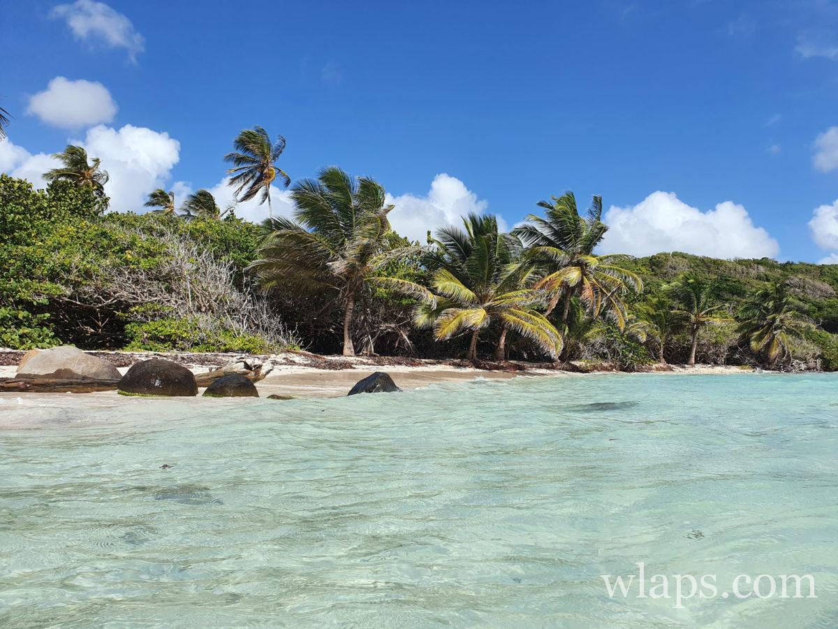anse à coa en Guadeloupe