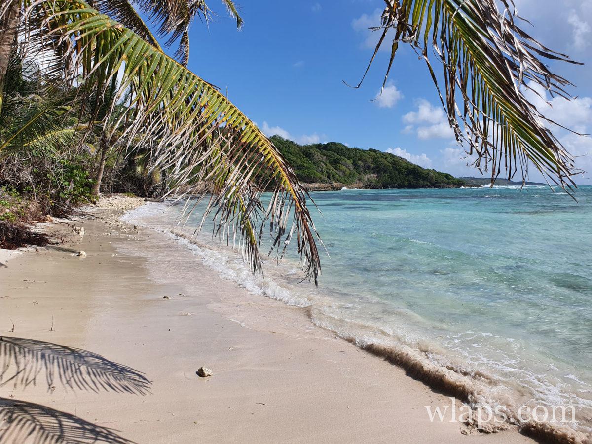 anse à coa en Guadeloupe