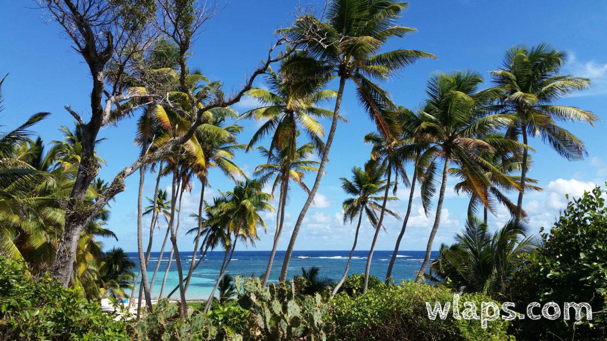 Une des plus belle plage de Martinique : Anse Michel