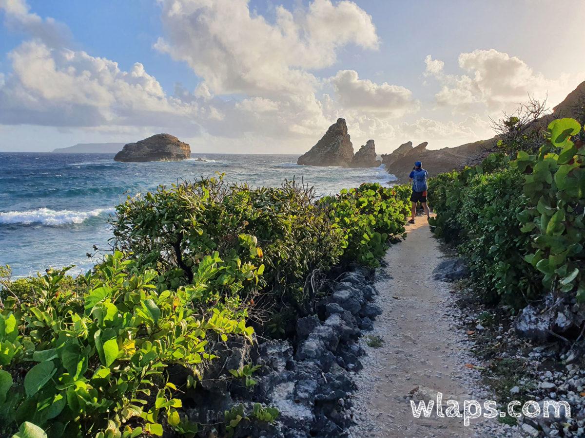 Balade en fin de journée à la Pointe des Châteaux, en Guadeloupe