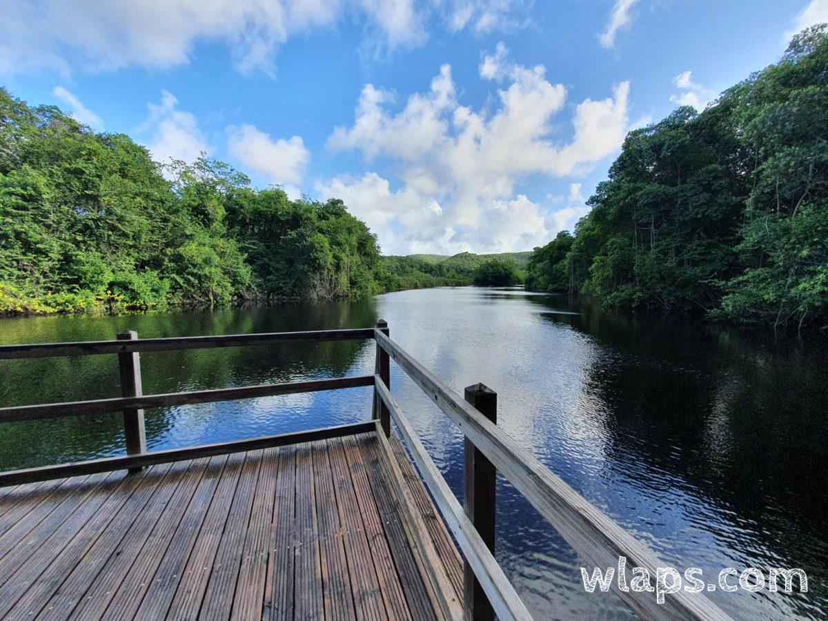 Début de la passerelle qui longe la mangrove de Marie Galante