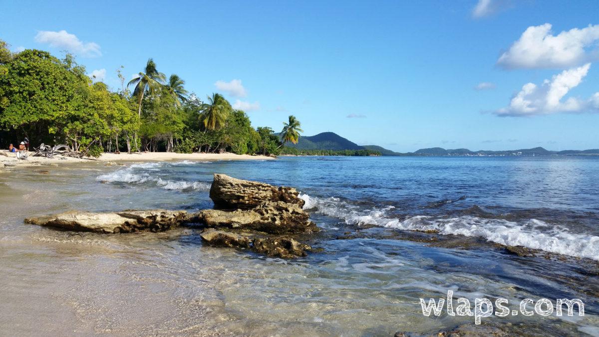 La plage de l'Anse Désert, sublime, en Martinique