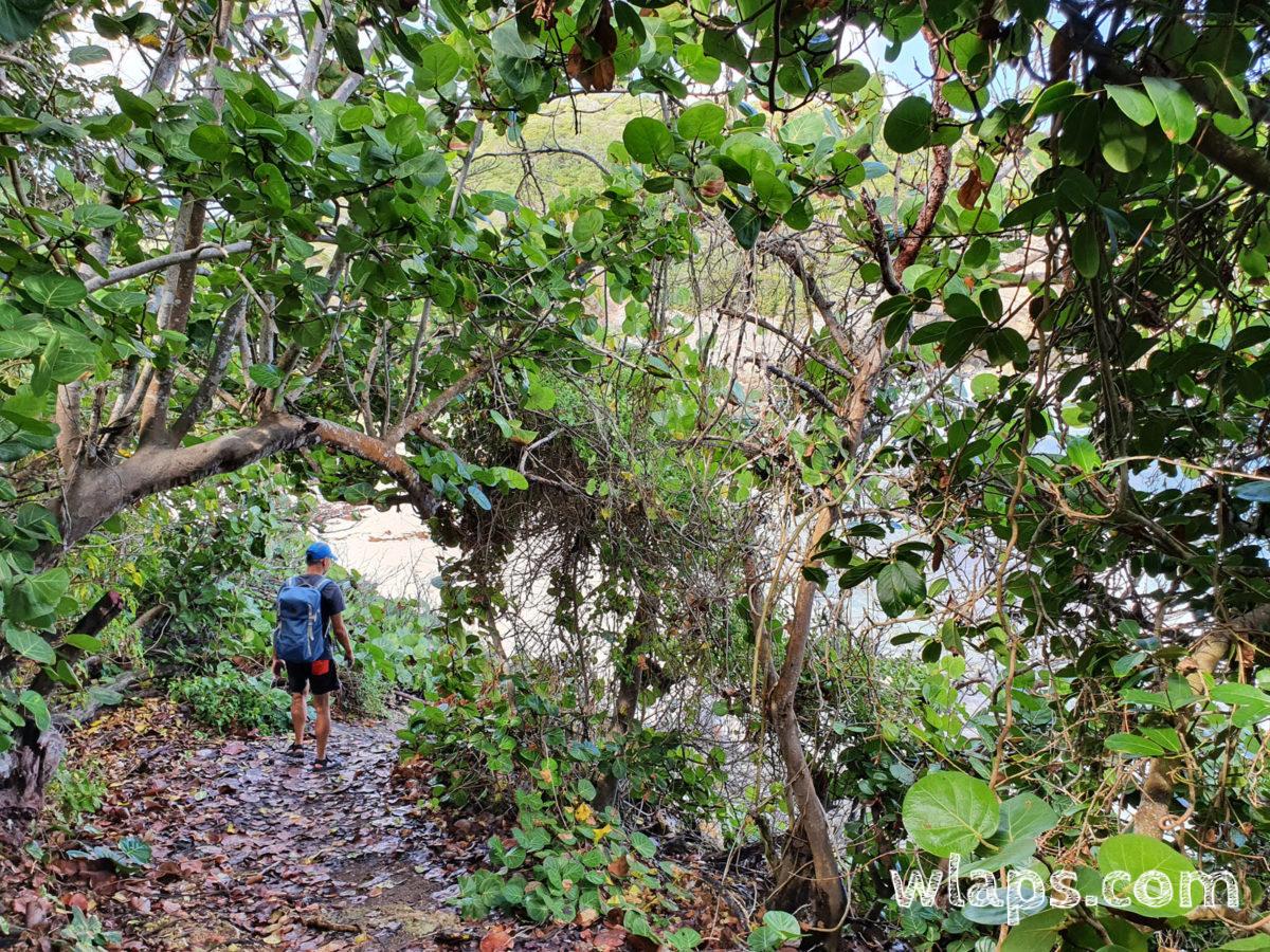 Le chemin qui descend jusqu'à la plage de l'anse à Coq