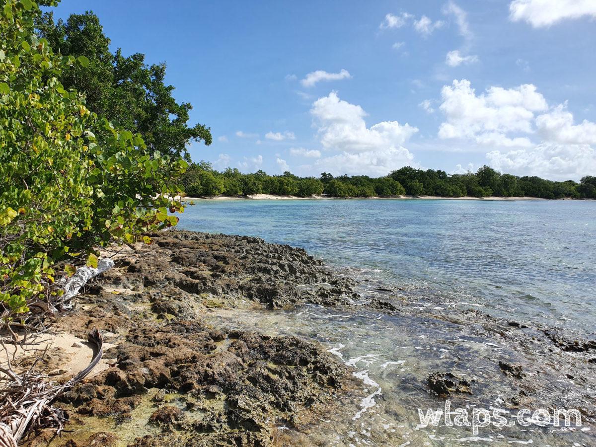 Vue sur la plage, la Mer des Caraïbes et la mangrove derrière