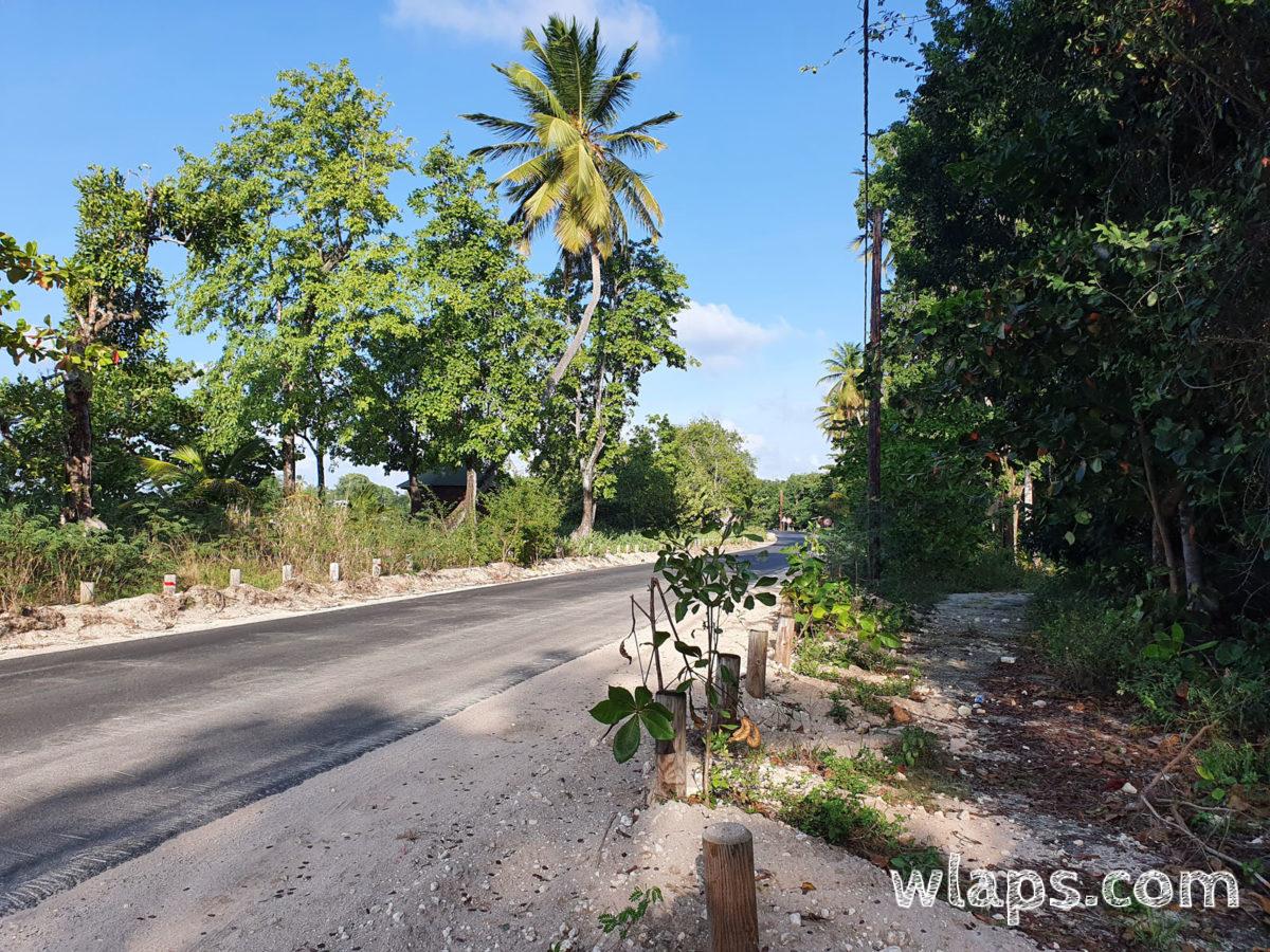 Entre Vieux Fort et la mangrove, la route où on peut se garer pour débuter la randonnée