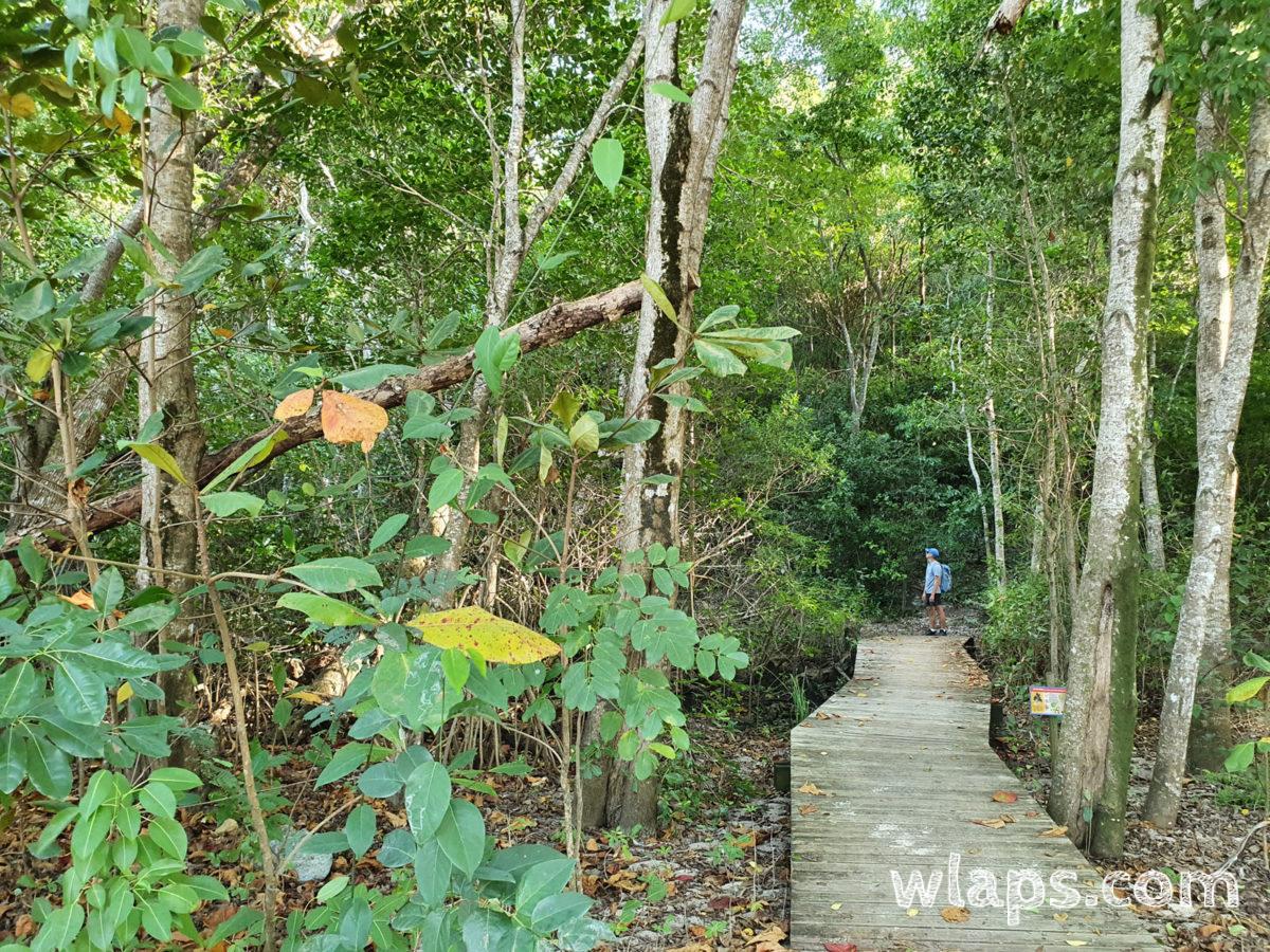 Randonnée sur le sentier de Vieux Fort à Marie-Galante