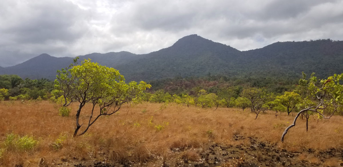 Guyane en septembre