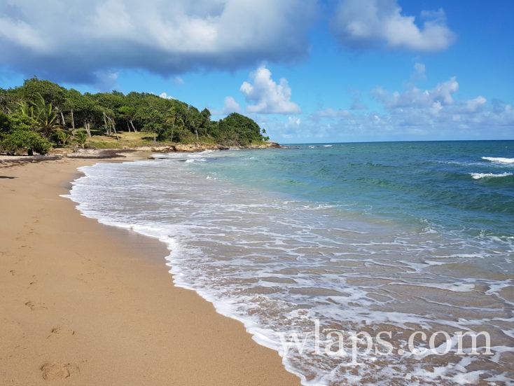 la plage de Anse Vinty