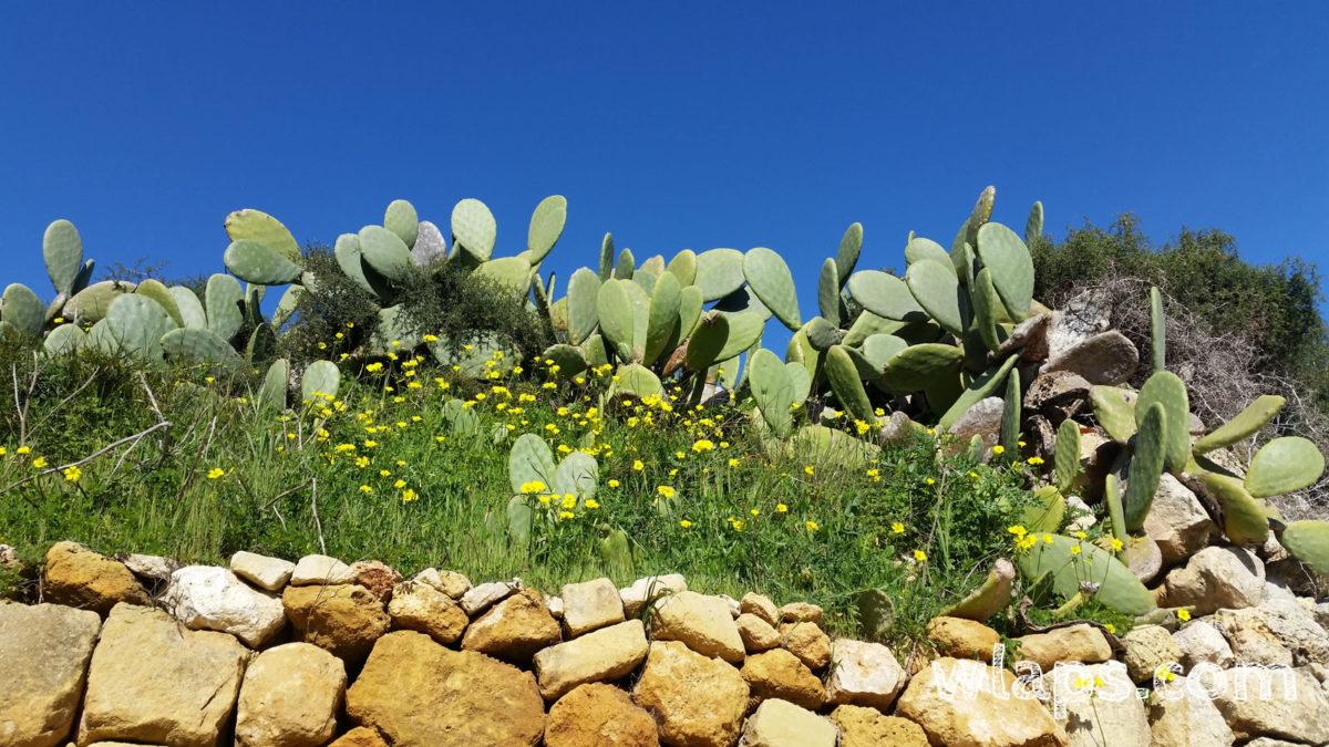 Sauvage, belle et aux paysages si variés, la Sardaigne est si belle