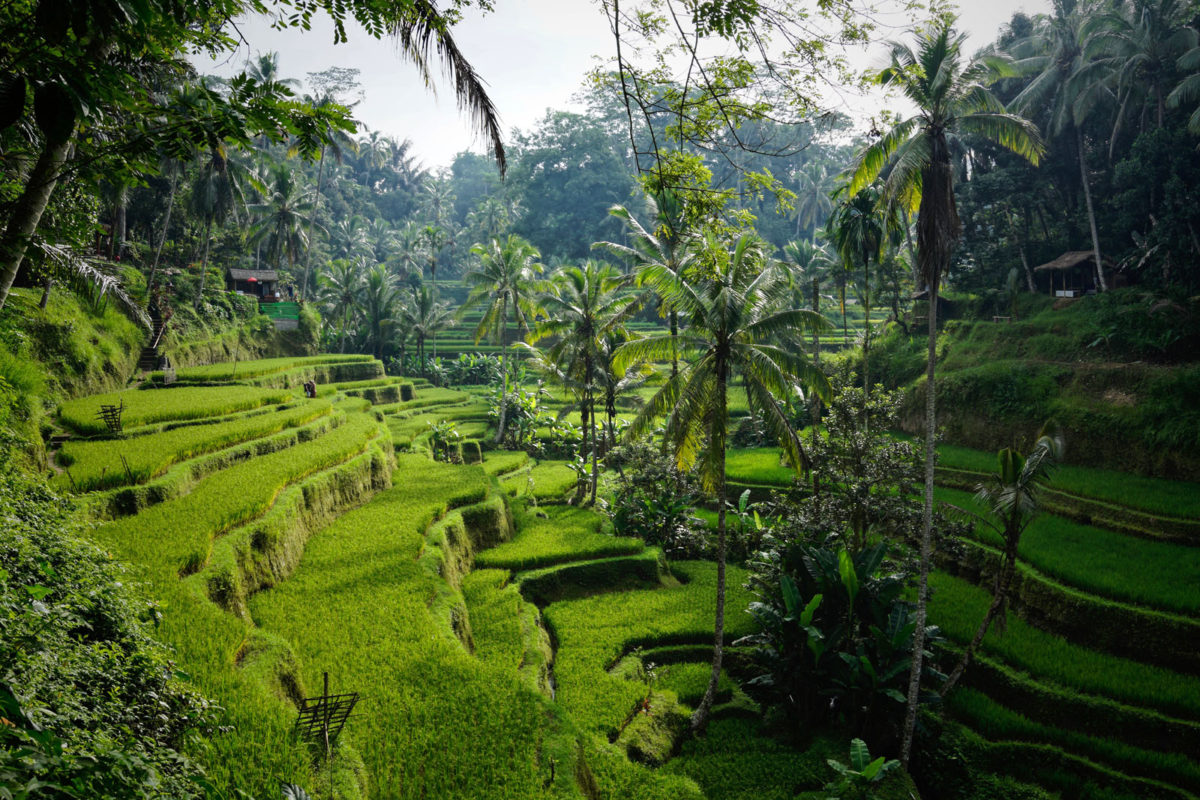 Bali en août