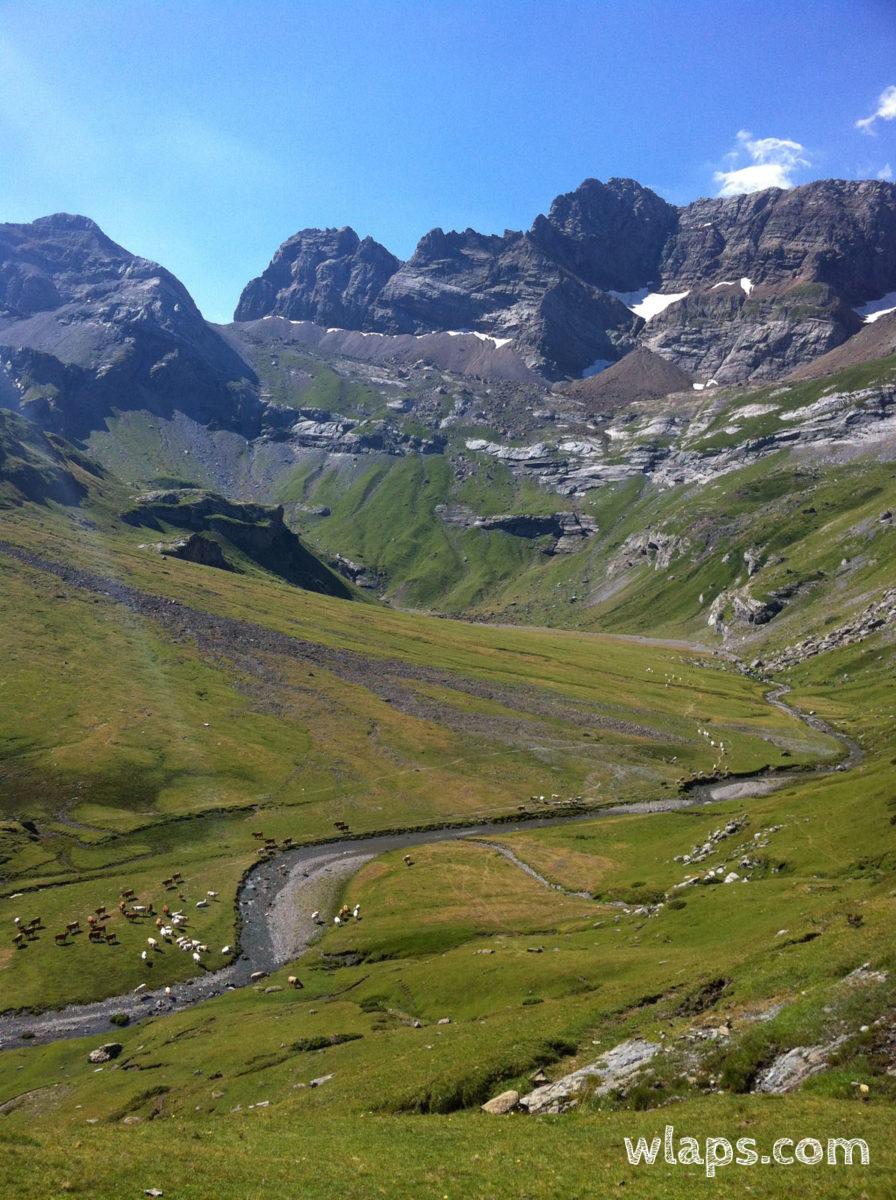 La parois tout au bout du Cirque d'Estaubé, avec les vaches en estive
