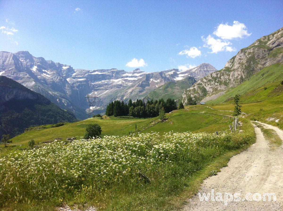 Merveilleux plateau sauvage, au fil des ans