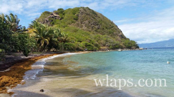 La plage de Anse Devant et le Pain de Sucre 