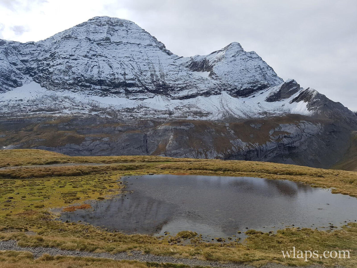 Petit lac en formation au début de l'hiver