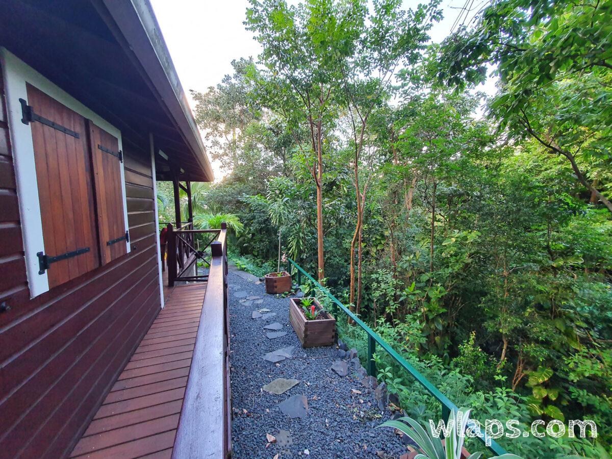 Sur le côté de notre bungalow des bacs ont vu le jour
