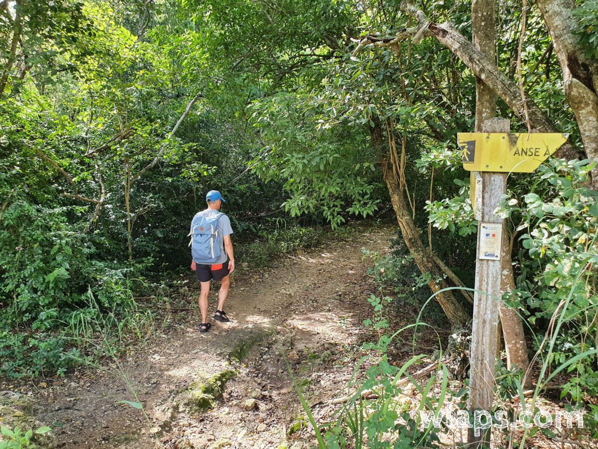 Sur un chemin de rando en foret sèche en Guadeloupe