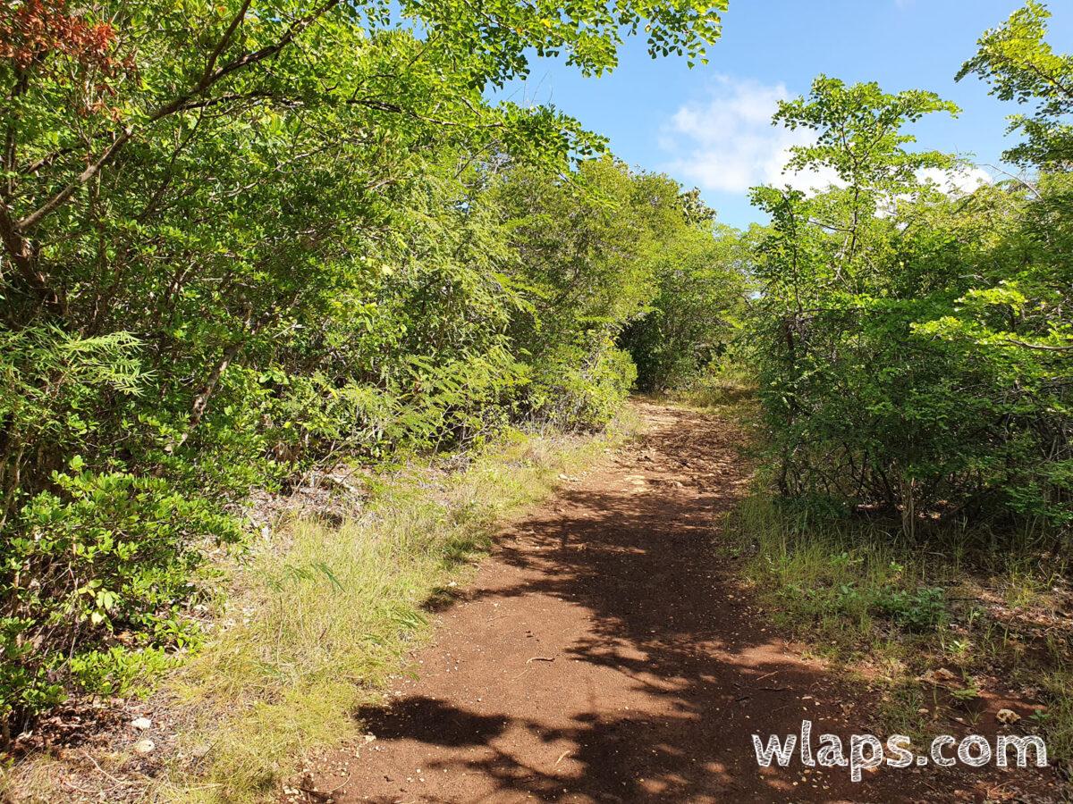 Sentier de randonnée en Grande-Terre
