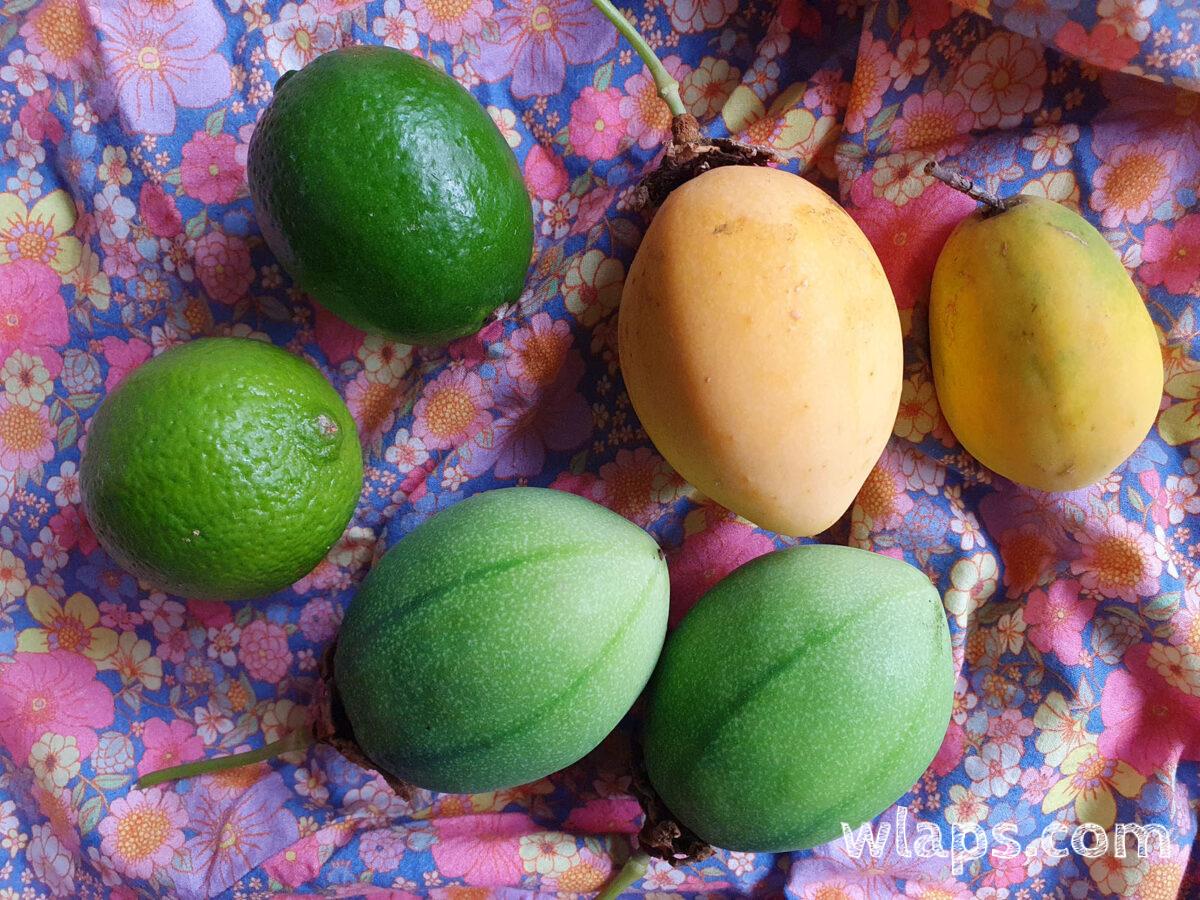 fruits exotiques en souvenir de Guadeloupe