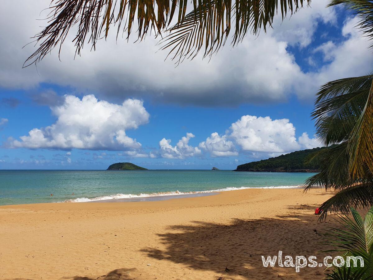 Voyager en Guadeloupe pour découvrir les merveilleuses plages des Caraïbes