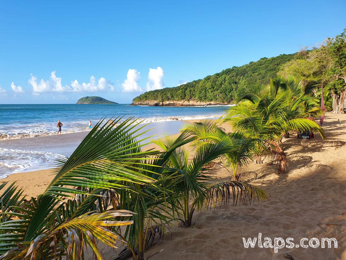 La plage de la Perle cet hiver en Guadeloupe