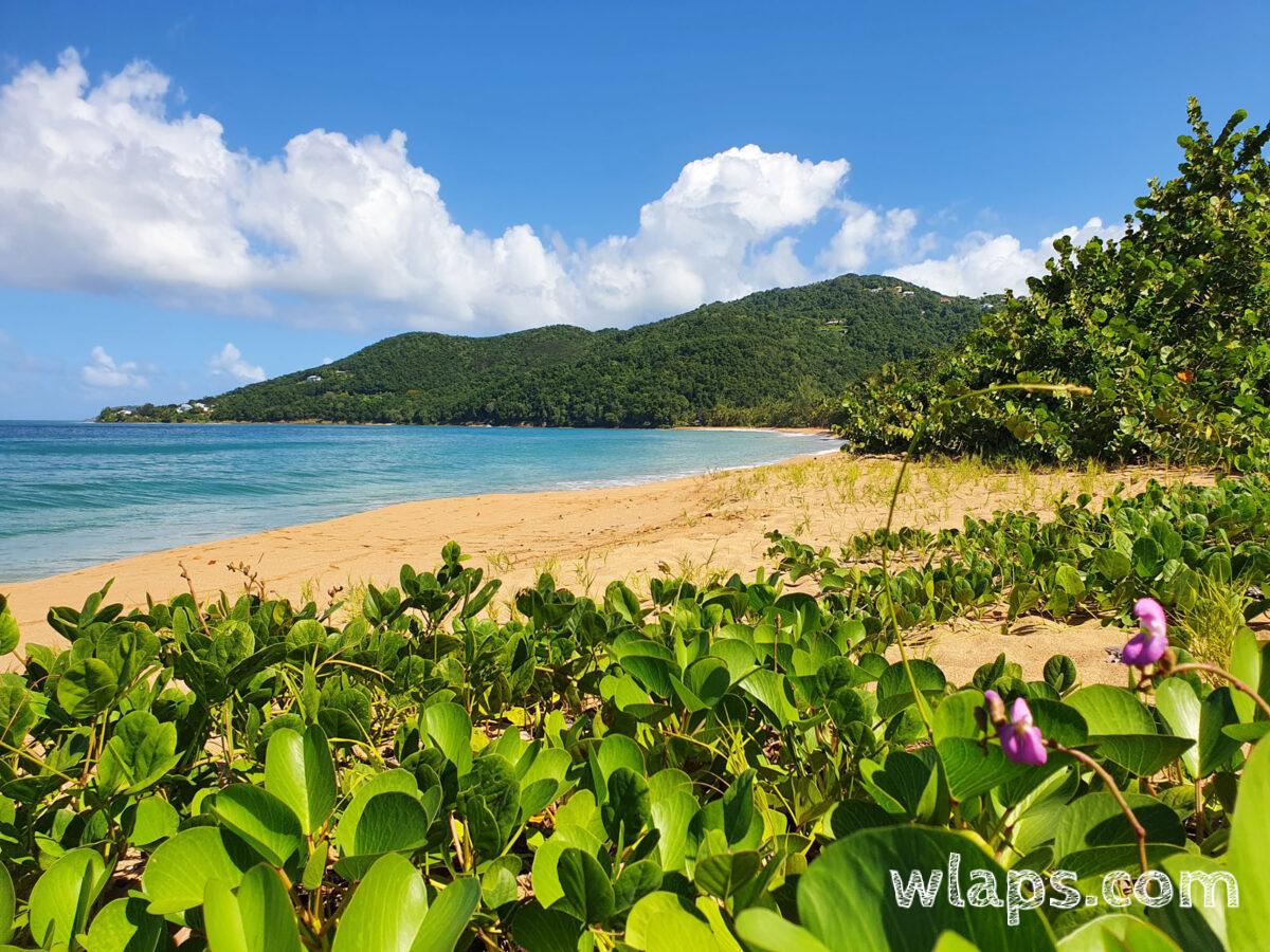Sur la gauche de la plage de Grande Anse