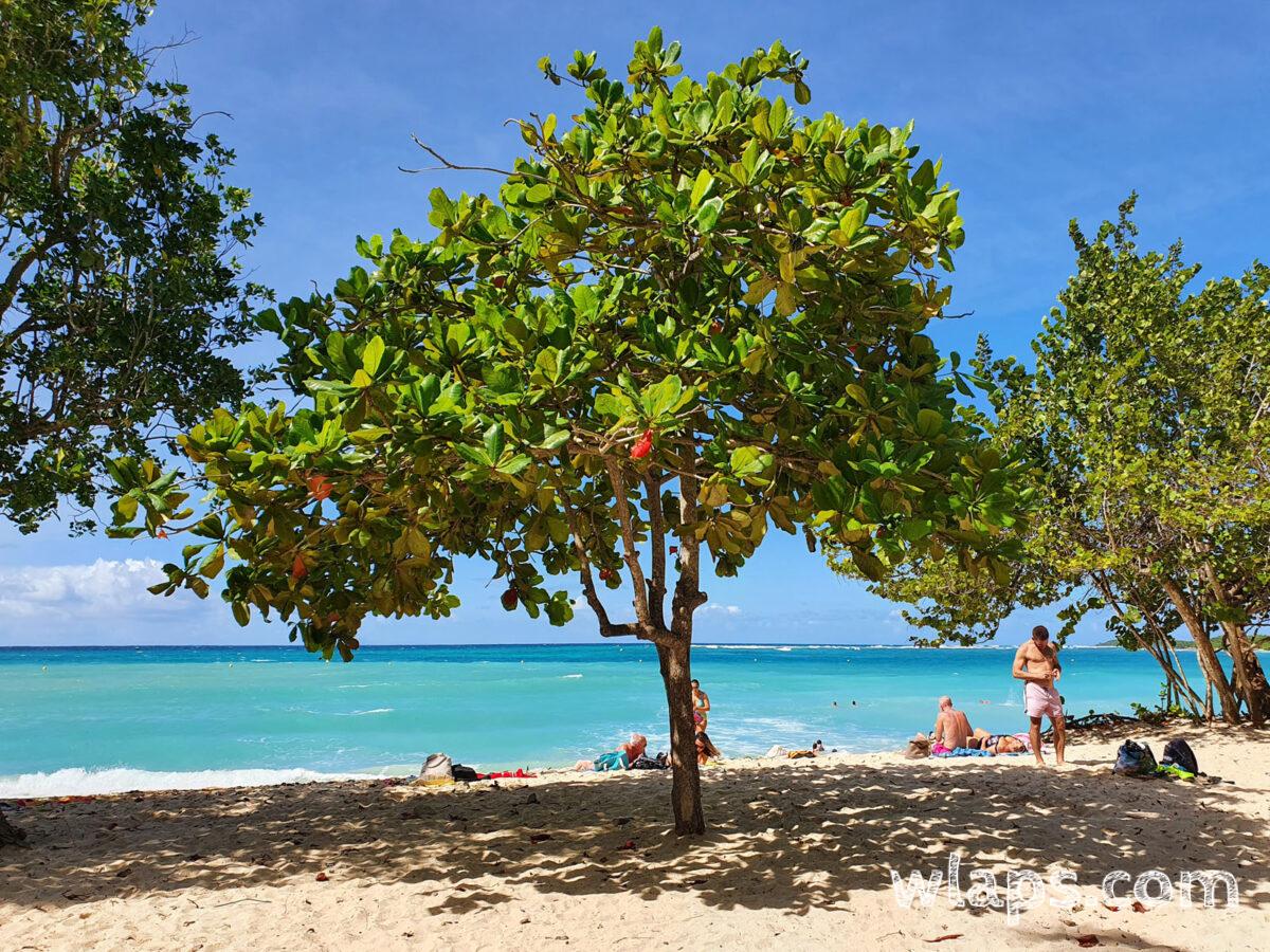Plage de Port-Louis au nord de Grande-Terre