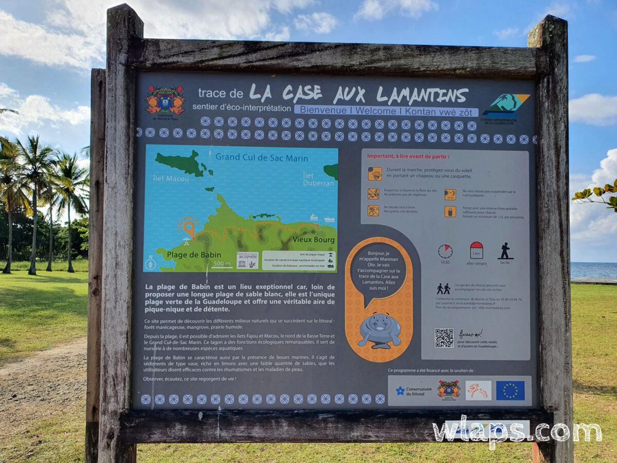 Itinéraire balisé : la case aux lamantins, sentier d'éco interprétation en Guadeloupe