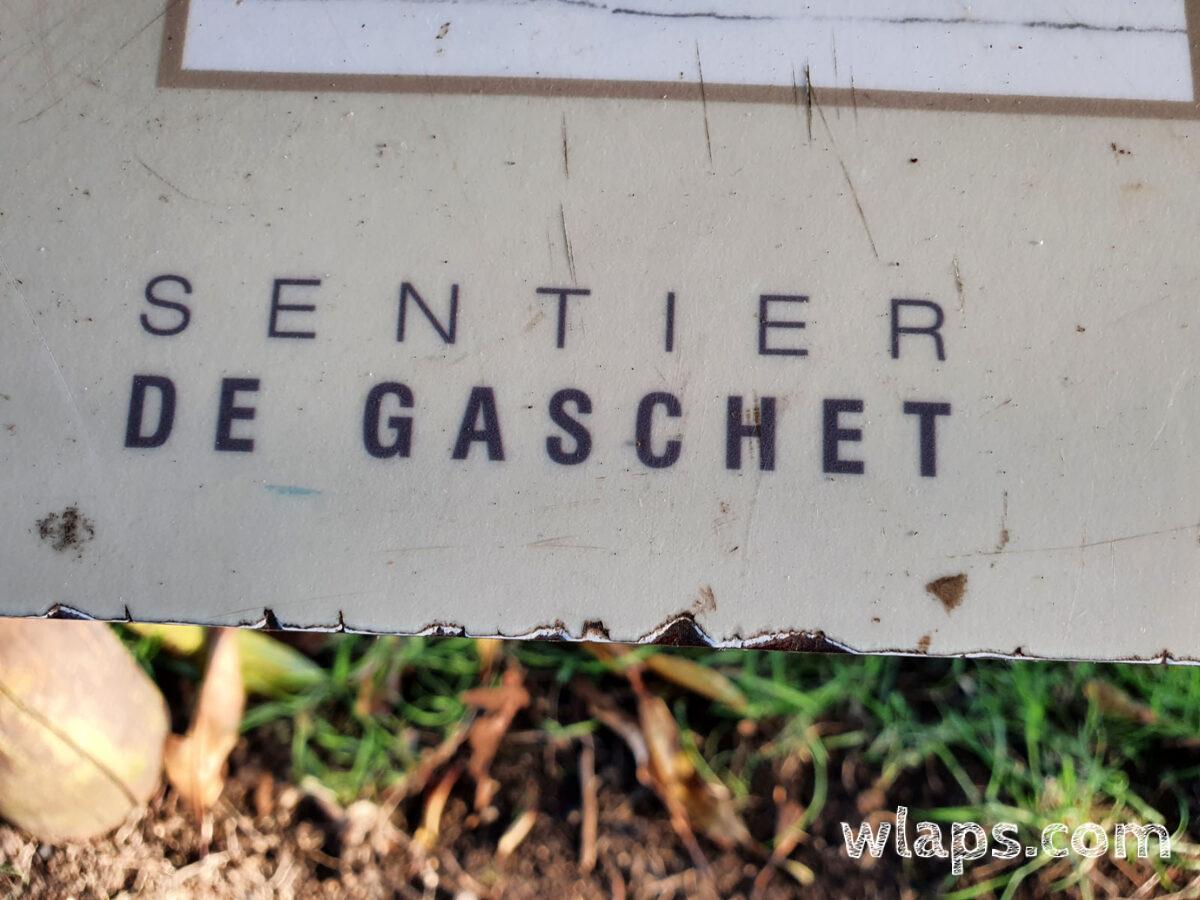 Sentier de Gaschet en Guadeloupe
