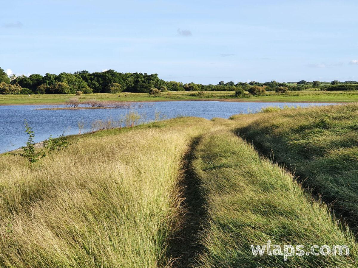Itinéraire de randonnée en Grande-Terre : le Sentier de Gaschet