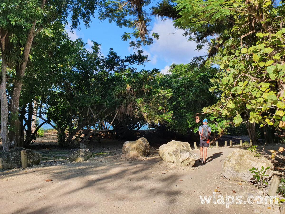 La piste n'est plus accessible aux véhicules à moteur, bien mieux pour randonner en Guadeloupe