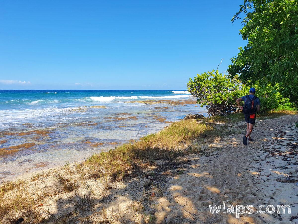 Chemin balisé de randonnée en Guadeloupe qui passe la long du littoral du nord de Grande-Terre