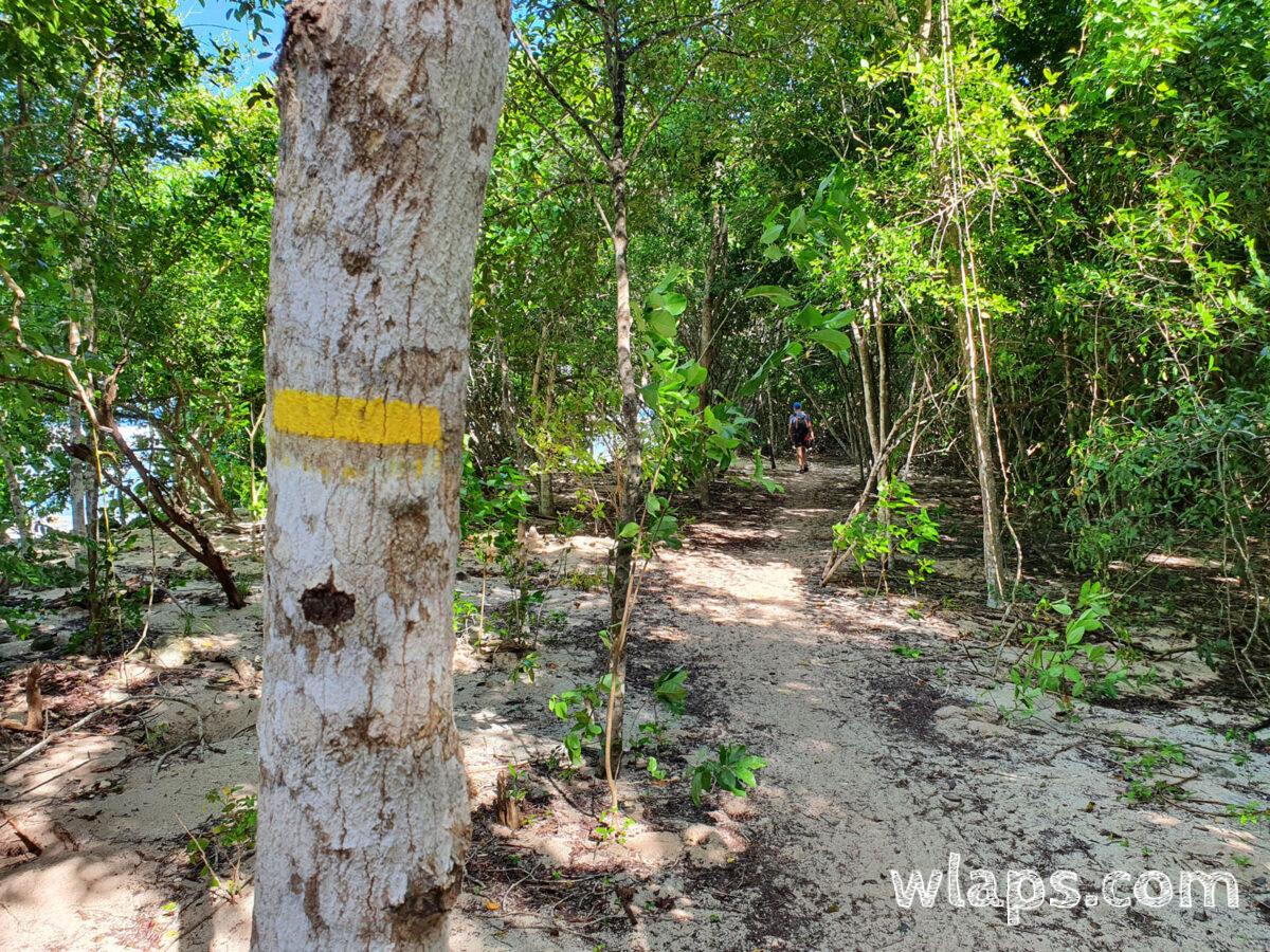 Un des nombreux chemin de randonnée pédestre en Guadeloupe, bien balisé comme souvent