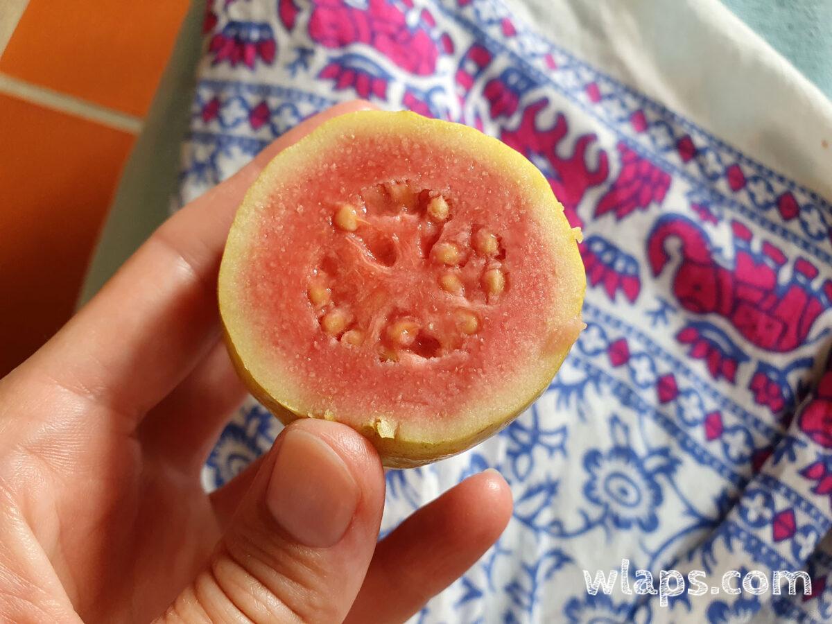 Goyave achetée sur le marché en Guadeloupe
