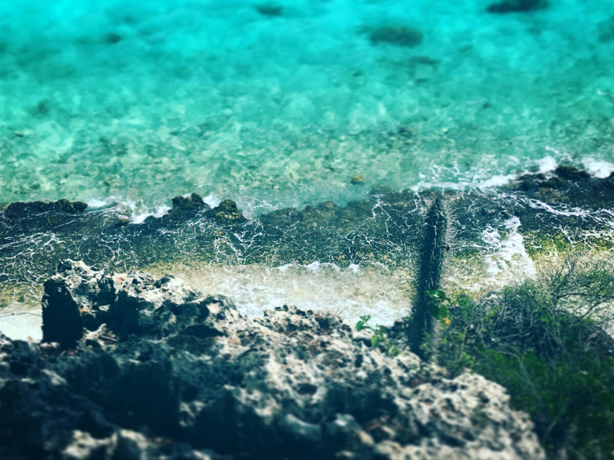 Dominica