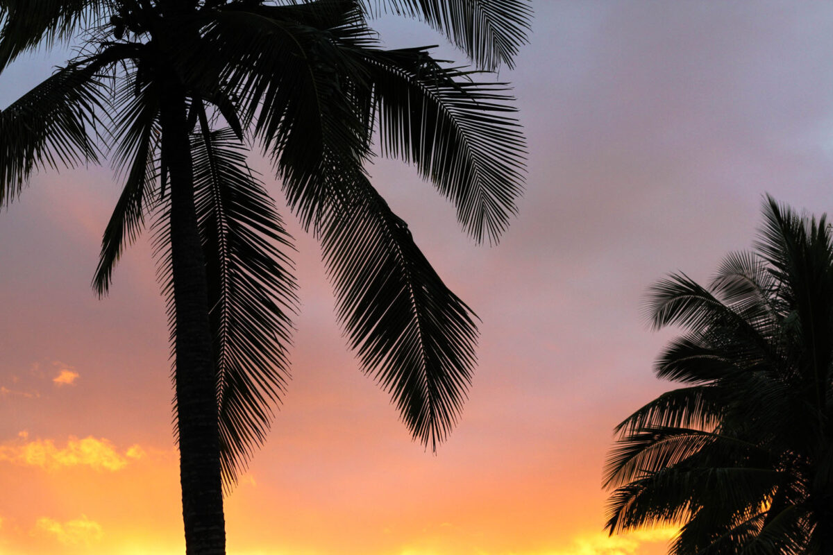 Lever de soleil sur l'île