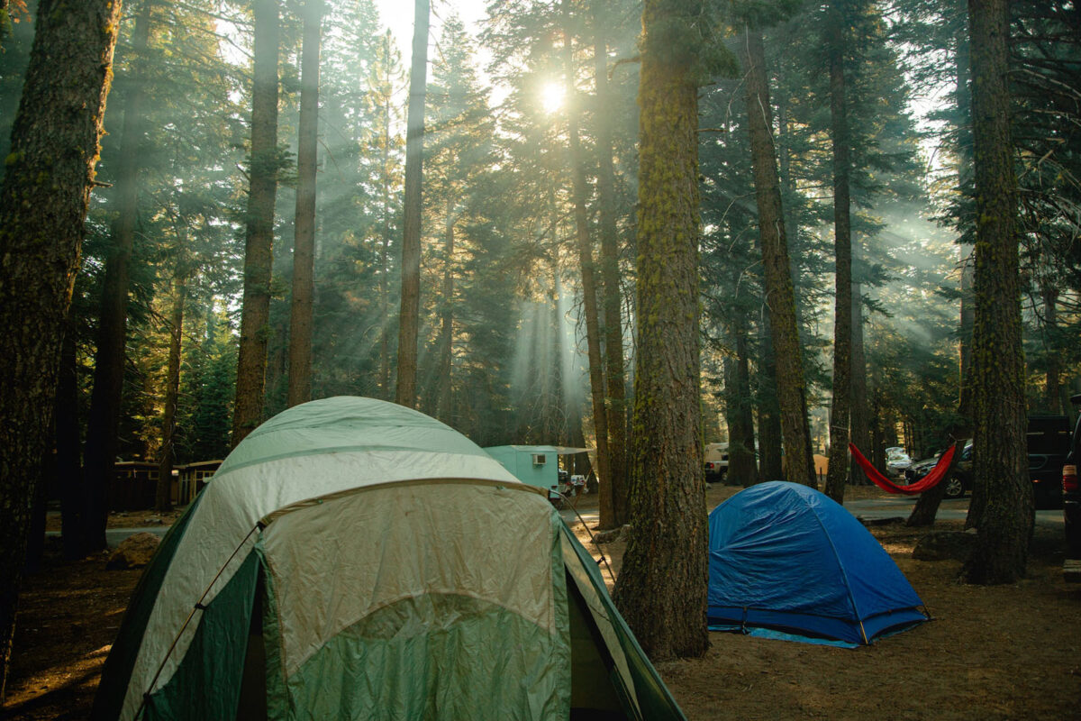 camping dans la forêt