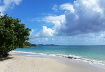 Où sont les plages de Martinique sans sargasses ?